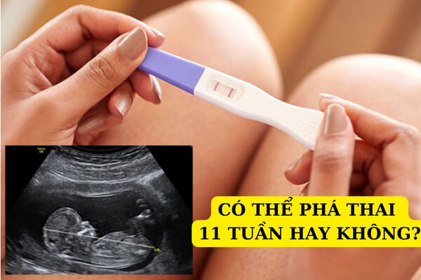 Co-the-pha-thai-11-tuan-tuoi-hay-khong